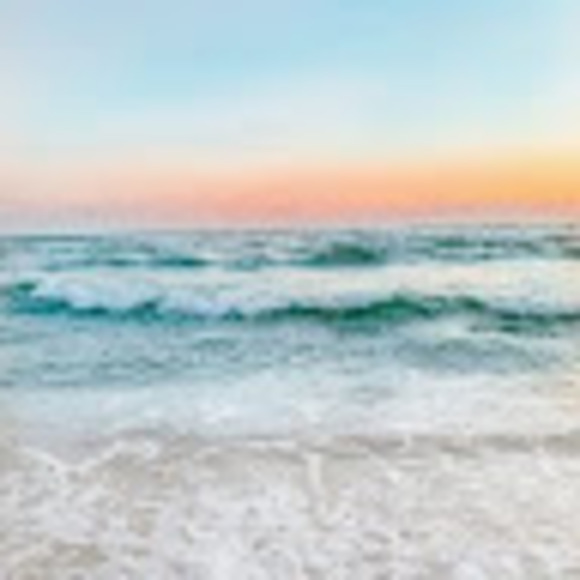 Meet your Posher, Harper - Picture 1 of 1